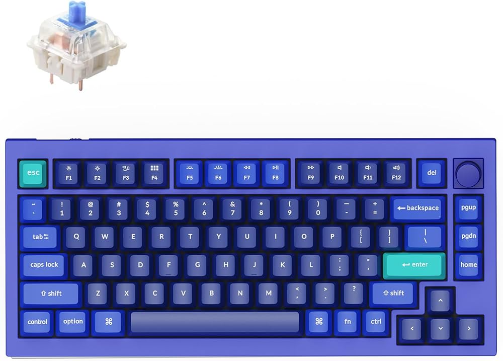 Amazon.co.jp: Keychron Q1 RGB 有線 カスタム メカニカル キーボード