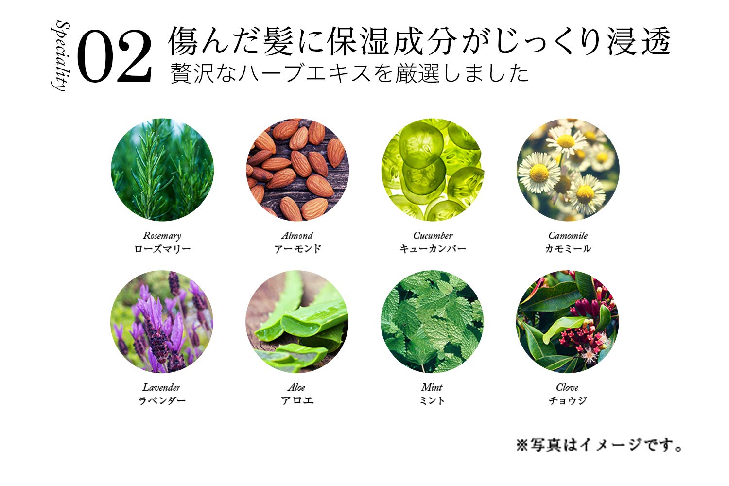 Amazon | WEN ウェン クレンジングコンディショナー アーモンド 480mL