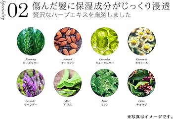 Amazon | WEN ウェン クレンジングコンディショナー アーモンド 480mL