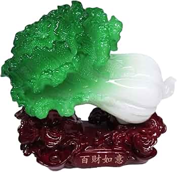 71Fz6qS+rXL._AC_UF350,