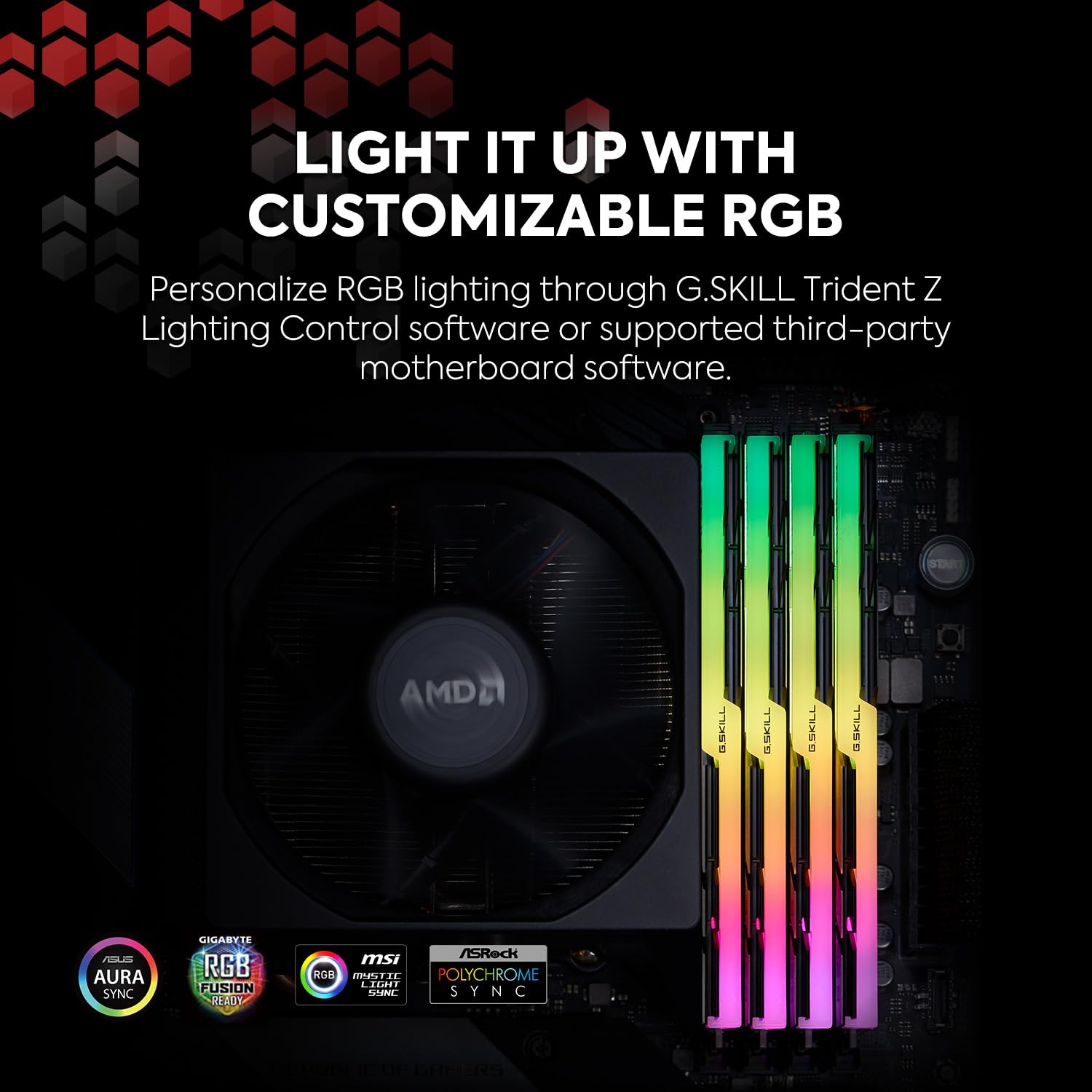 Amazon | G.SKILL (ジースキル) Trident Z Neo(AMD(アドバンスド