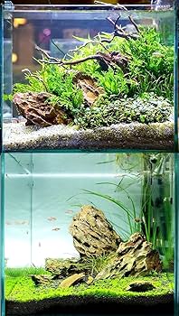 Amazon | 気孔石 黄虎石 蜂炎石 水槽 アクアリウム 花壇 ガーデニング