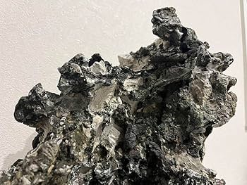 Amazon.co.jp: 大型揖斐石 揖斐川 龍眼石 竜眼石 竜岩石 龍岩石 立ち石