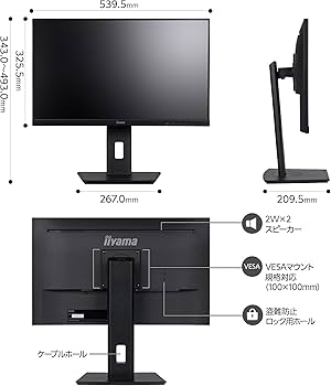 Amazon.co.jp: iiyama モニター ディスプレイ ProLite XUB2493HS-B6