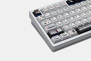 Amazon | KEEBMONKEY WOBKEY Rainy 75 RT ラピッドトリガー CNC