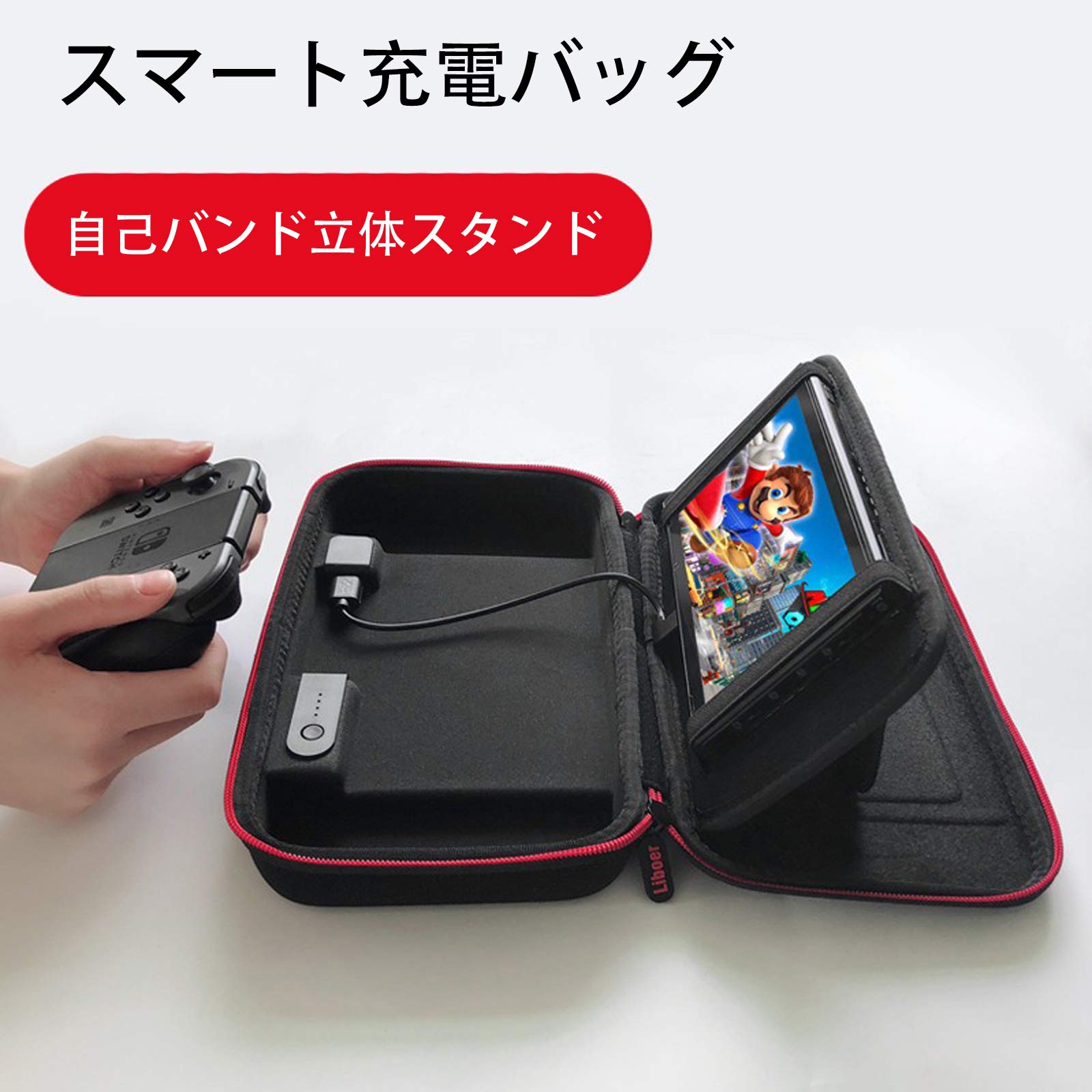 Nintendo Switch Lite 本体 + ケース＋充電器 【公式通販】