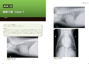 思考プロセスを習得する犬と猫のX線読影 | 坂大 智洋, 上月 遥香, 中山