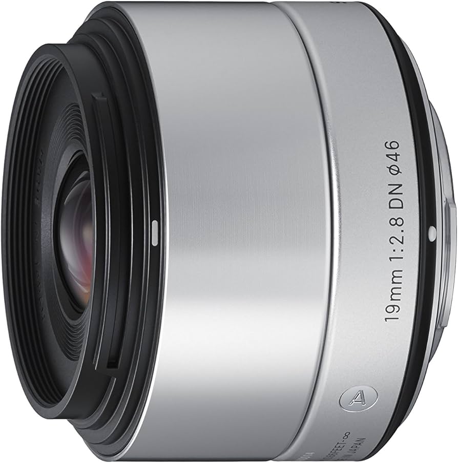 Amazon.com : Sigma 19mm F2.8 EX DN Art (Silver) for Sony SE