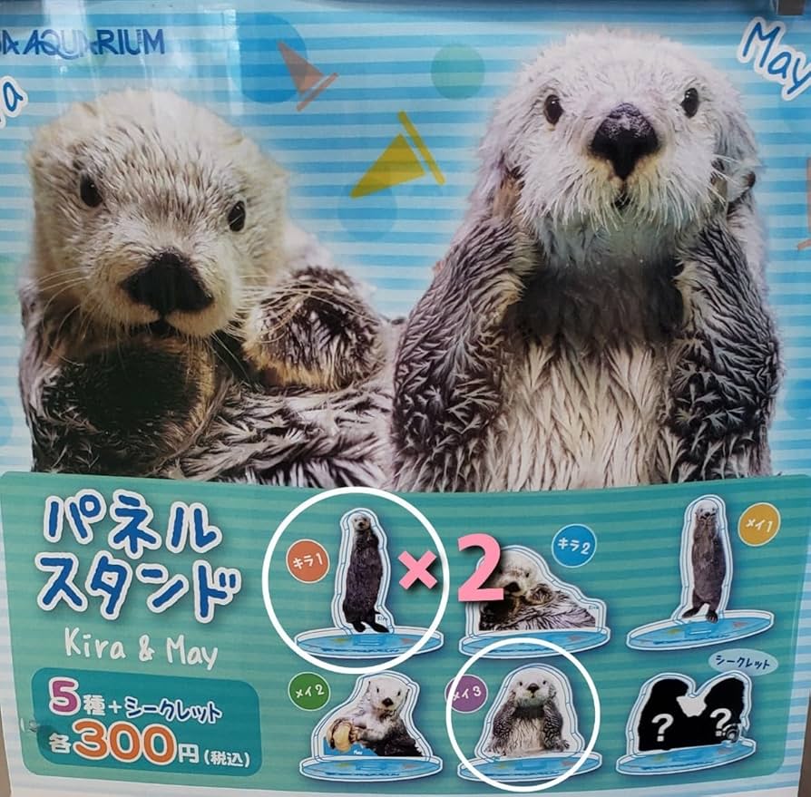 Amazon.co.jp: 鳥羽水族館 ラッコ パネルスタンド キラ メイ アクリル