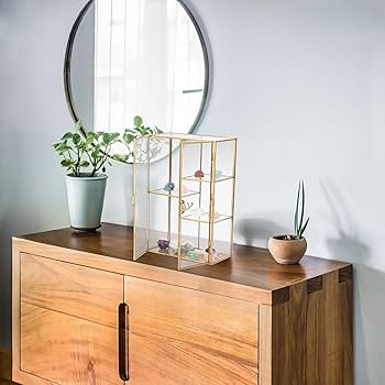 Amazon.co.jp: ELLDOO 5スロット クリアガラス収納ボックス ゴールド