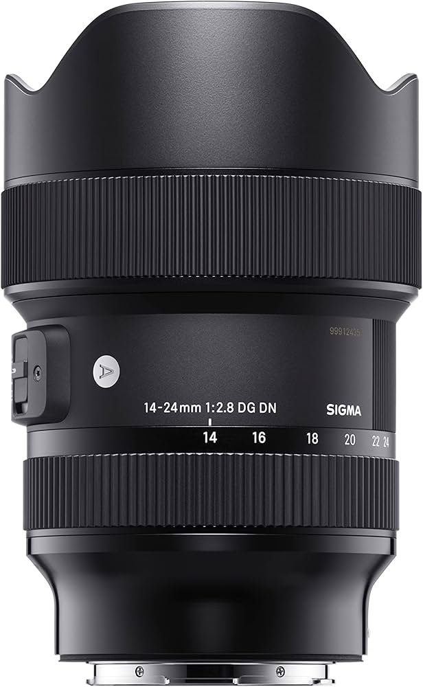 Amazon.com : Sigma 213965 14-24mm F2.8 DG DN Art for Sony E Mount