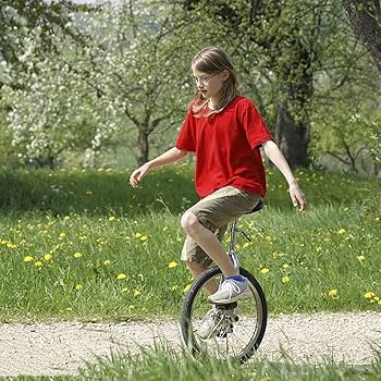 Amazon | sumunior 一輪車 20インチ ブラック スキッドプルーフ