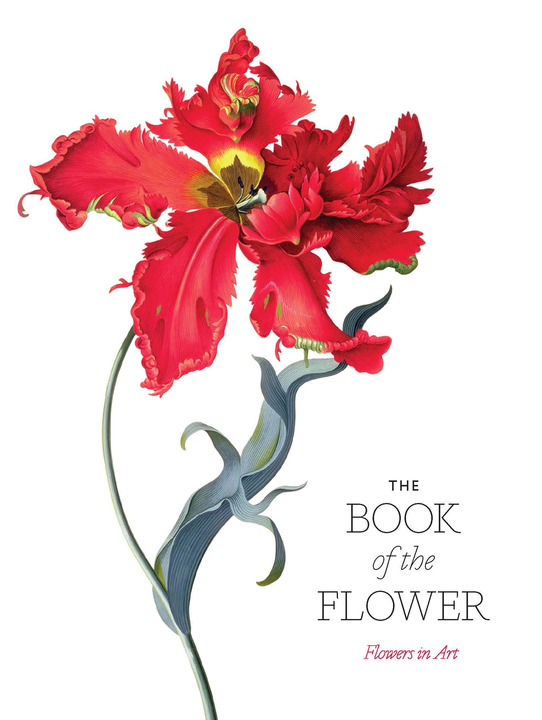 The Book of the Flower: Flowers in Art: Hyland, Angus, Wilson