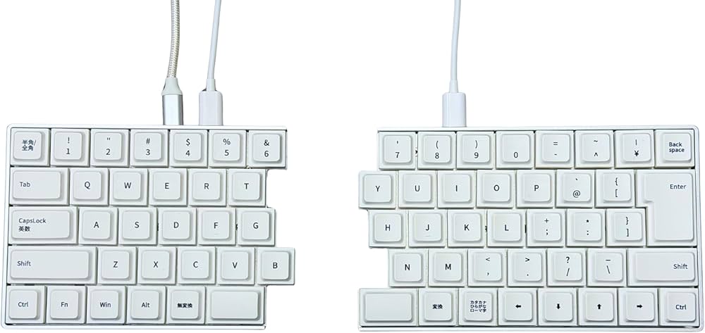 Amazon | ライジュウ NISABI V2 LAK キーキャップ 日本語配列 分割式