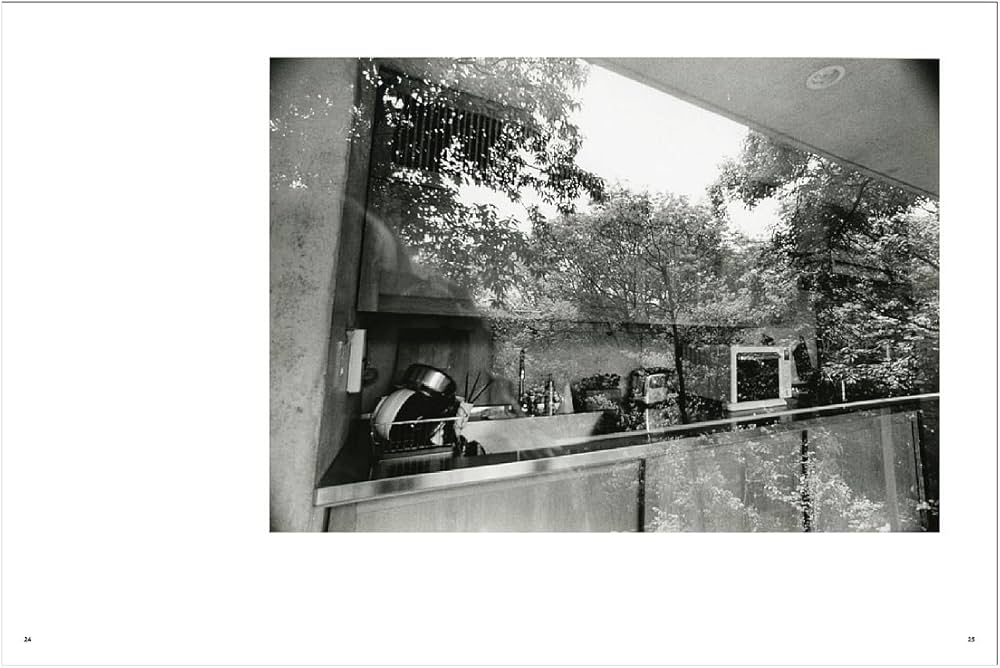 Amazon.co.jp: Visible Invisible : 宇野 友明, 西澤 豊: 本