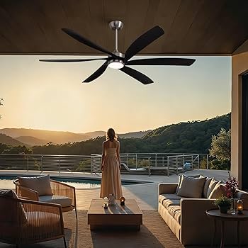 Nuoqiso 64 Inch Ceiling Fans with Lights,Indoor and Outdoor Modern