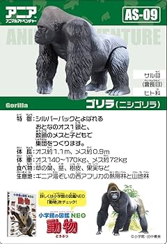 Amazon.co.jp: Ania AS-09 Gorilla : Toys & Games