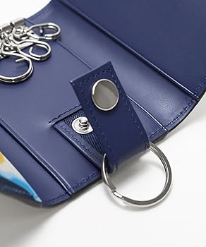 Amazon.com: Lanvin on Blue Key Case, Black : Clothing, Shoes & Jewelry
