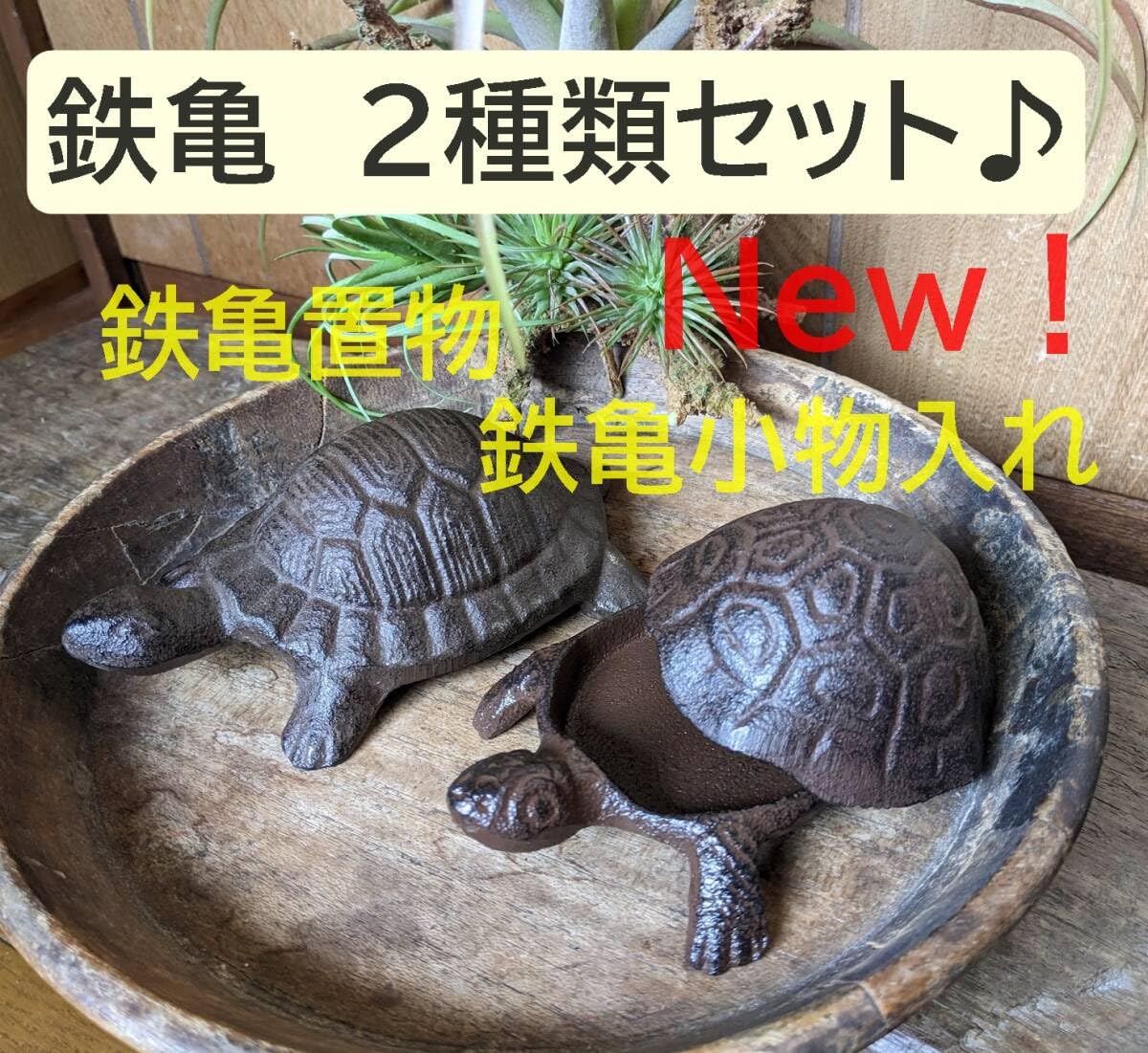 Amazon.co.jp: 鉄亀置物＆鉄亀小物入れ お得な2種類セット 縁起物