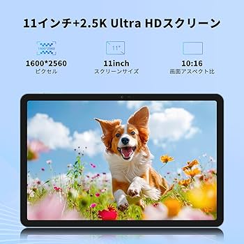 Amazon.co.jp: DOOGEE T30Pro｜Android 13/14 タブレット 11インチ