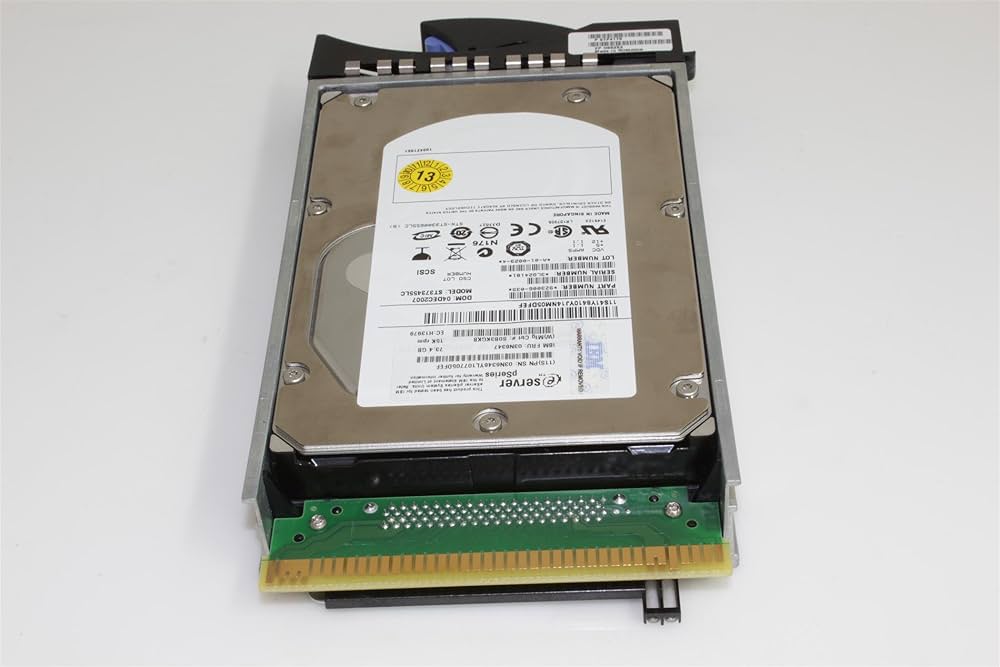 Amazon.com: 73GB HARDDRIVE DASD : Electronics