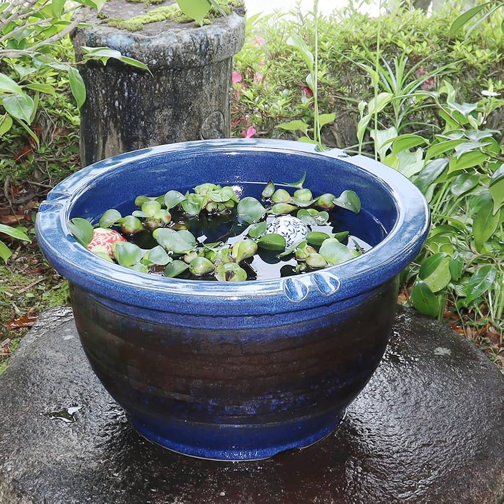 Amazon.co.jp: 信楽焼 15号ナマコ色 すいれん鉢 メダカ鉢 睡蓮鉢