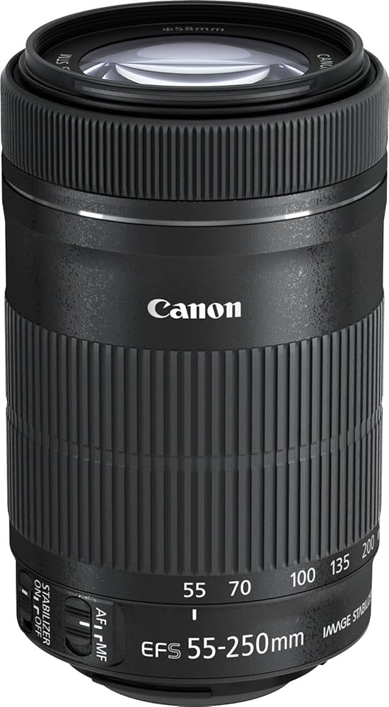 Amazon.co.jp: Canon レンズ EF-S55-250mm F4-5.6 IS STM : 家電＆カメラ