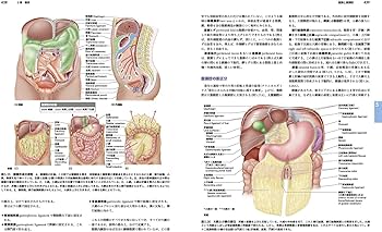 臨床のための解剖学 第3版 | 佐藤 達夫, 坂井 建雄 |本 | 通販 | Amazon