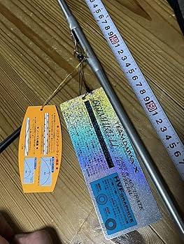 Amazon.co.jp: ダイワ チームダイワX TD-X 661MHRB-li HVF graphite