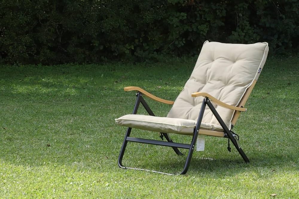 Amazon.co.jp: onway オンウェー コンフォートローチェアプラス OW