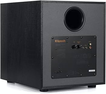 Amazon.com: Klipsch R-100SW 10