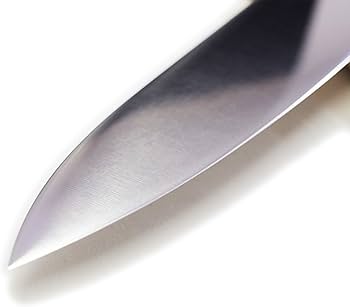 Amazon | 堺石藤 貞宗 ステンレス モリブデン鋼 牛刀 240mm 本焼 包丁