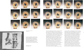 Bruno Munari: Munari, Bruno, Tanchis, Aldo: 9791254931011: Amazon