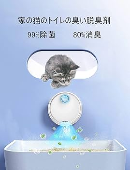 71KQM1K6tiL._AC_UF350,