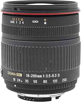 71KS1fZIWwL._AC_UF350,