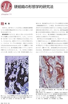 口腔組織・発生学 第3版 | 前田 健康, 網塚 憲生, 中村 浩彰 |本