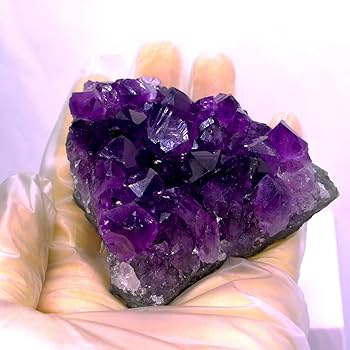 71Kf4B5WZXL._AC_UF350,