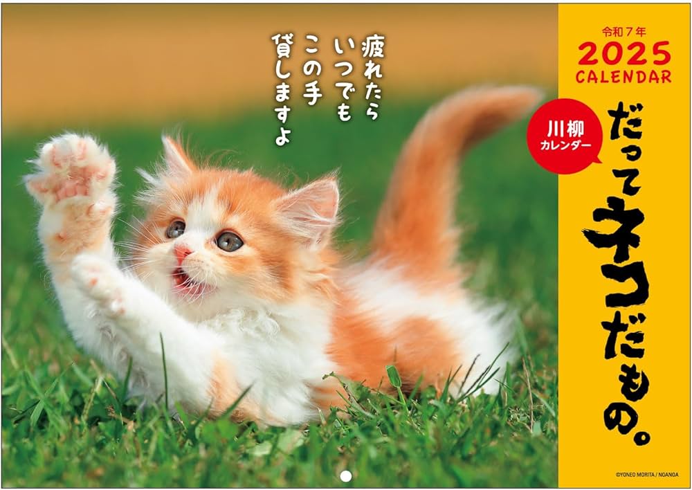 Amazon.co.jp: アクティブコーポレーション 2025年 カレンダー 壁掛け