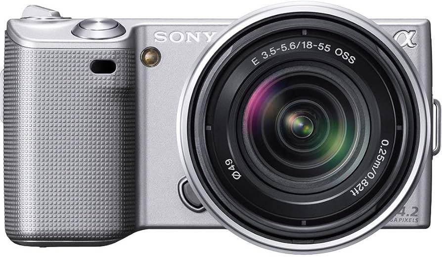 Amazon.com : Sony Alpha NEX NEX5K/S Digital Camera with