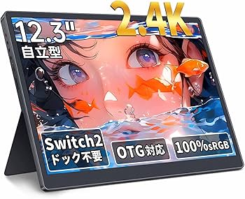 Amazon.co.jp: HAILESI モバイルモニター 12.3インチ 2.4K 2400x1600