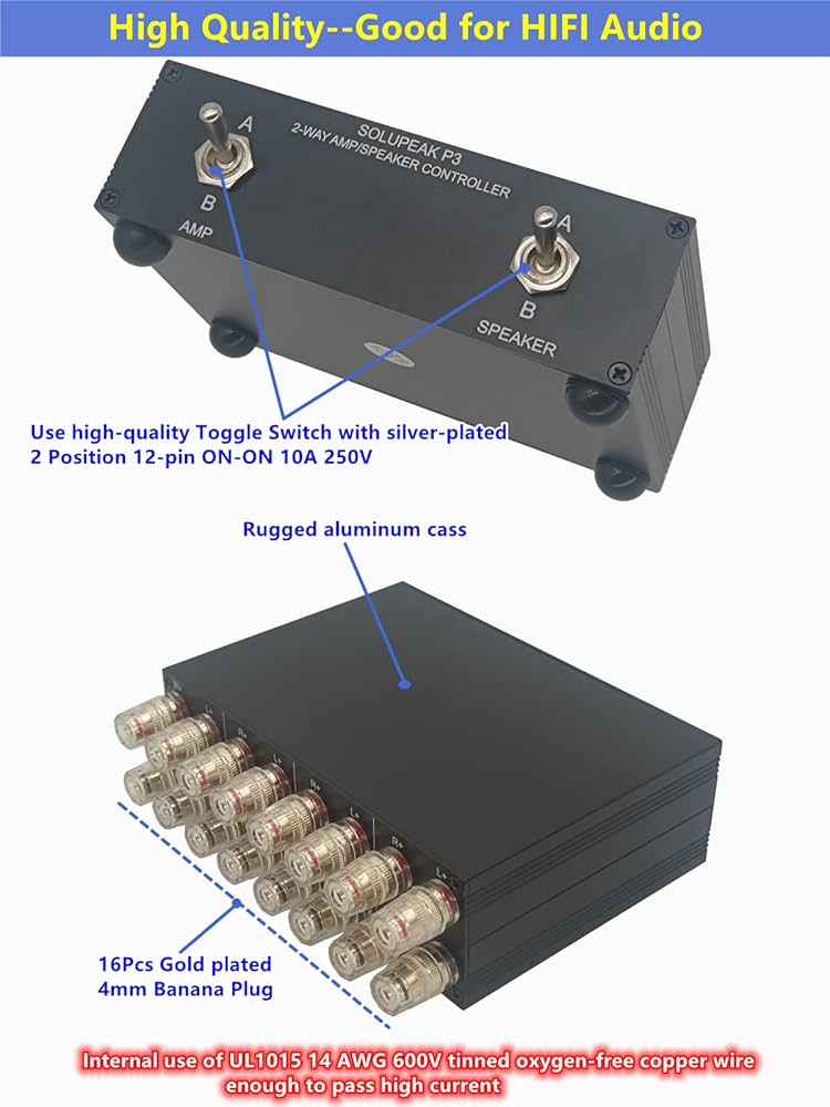 Amazon.com: SOLUPEAK P3 2-WAY AMP Amplifier to 2 Pair of Speakers