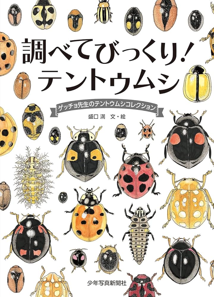 調べてびっくり! テントウムシ: ゲッチョ先生のテントウムシ