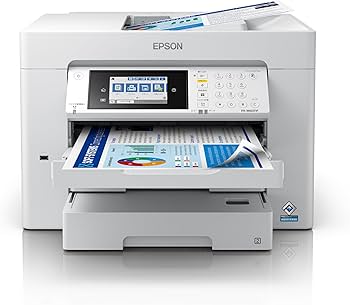 Amazon.co.jp: エプソン プリンター A3ノビ対応ビジネスインクジェット