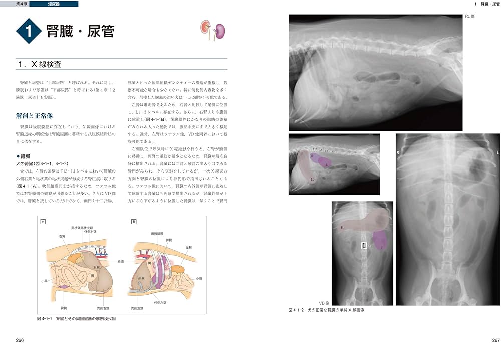 犬と猫のベーシック画像診断学 腹部編 | 獣医放射線学教育研究会 |本