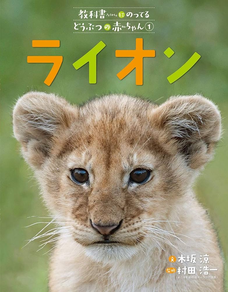 Amazon.co.jp: ライオン (教科書にのってるどうぶつの赤ちゃん) : 木坂