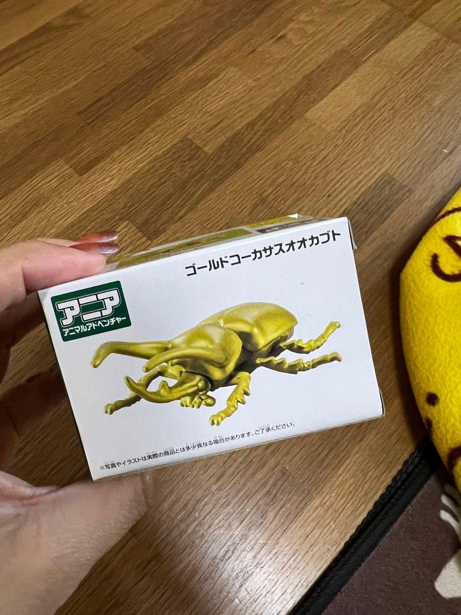 コーカサスオオカブト 2003 AUTUMN PSA10 コーカサスオオカブト 2003