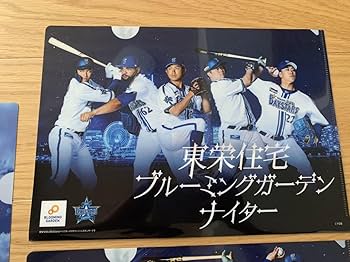 Amazon.co.jp: 横浜DeNAベイスターズ / クリアファイル3枚セット