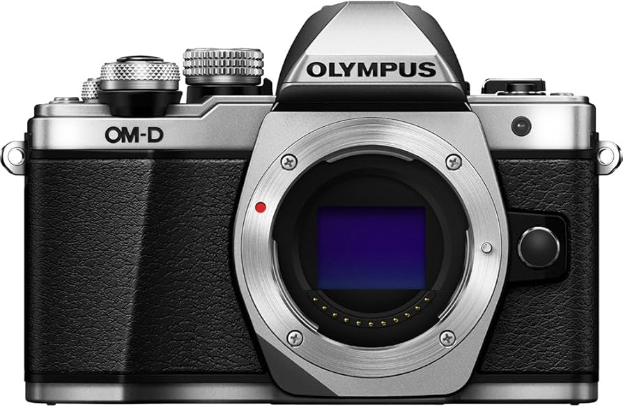 Amazon Canada: Olympus OM-D E-M10 Mark II Mirrorless Digital