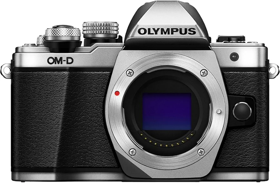 Amazon.com : OM SYSTEM Olympus OM-D E-M10 Mark II Mirrorless