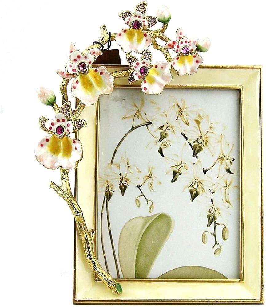 Amazon.com - Kelsey Orchid 3